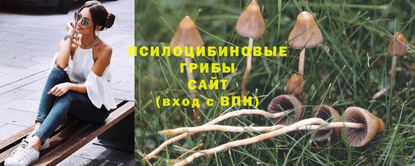 прущие крисы Нягань