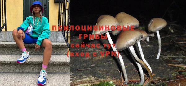 прущие крисы Нягань
