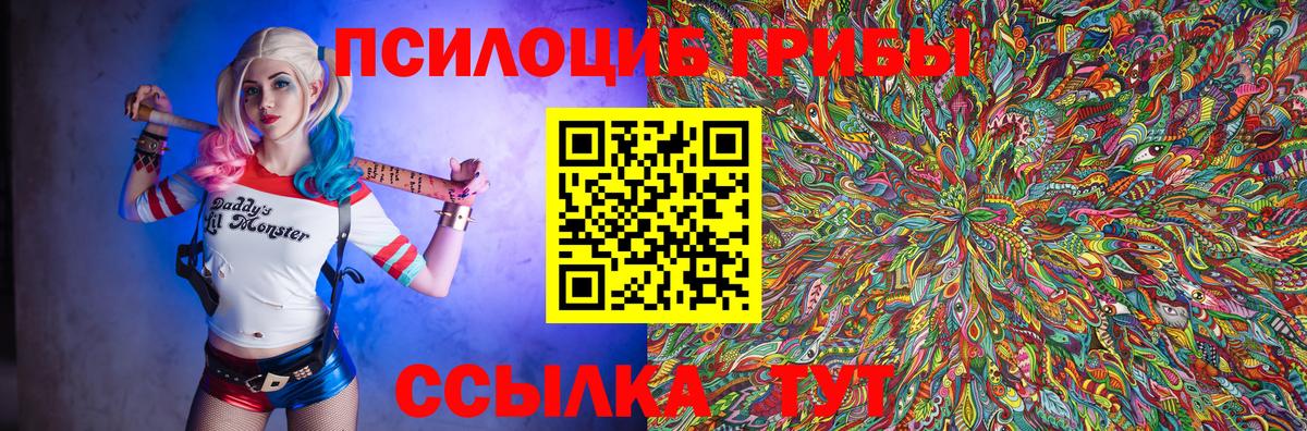 Галлюциногенные грибы Psilocybine cubensis  Калач-на-Дону  Галлюциногенные грибы MAGIC MUSHROOMS 