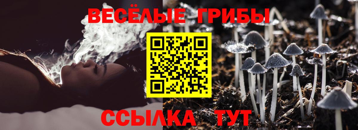 Псилоцибиновые грибы Cubensis  Вход с VPN  Калач-на-Дону 